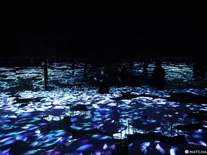 【2024年】全新開幕！到六本木的teamLab常設美術館體驗光與影的藝術