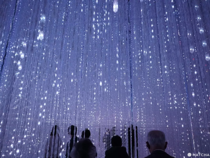 【2024年】全新開幕！到六本木的teamLab常設美術館體驗光與影的藝術