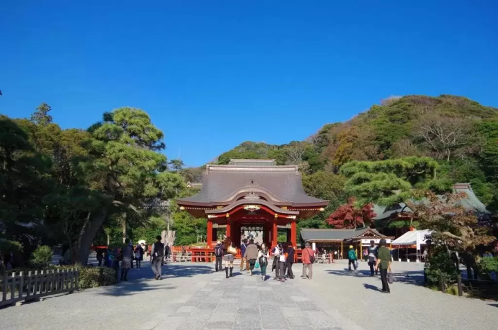 Stays By the Seaside - 11 Amazing Hotels to Enjoy in Kamakura