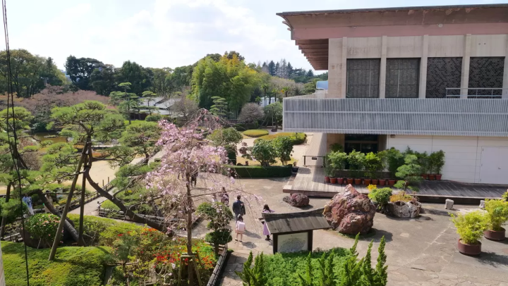 东京的春天来了!新大谷酒店的日式庭园和餐厅都染上了春天的色彩