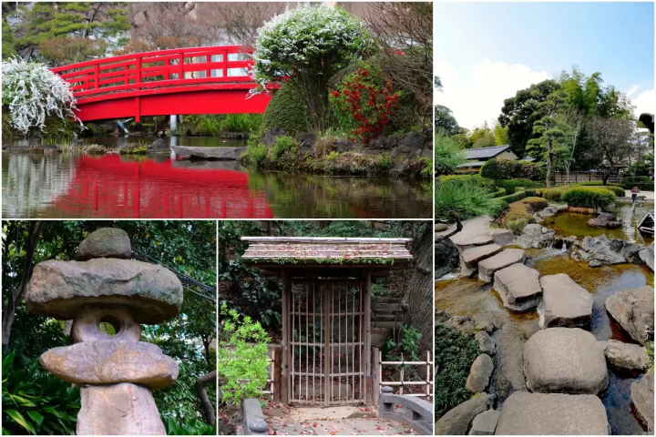 东京的春天来了!新大谷酒店的日式庭园和餐厅都染上了春天的色彩