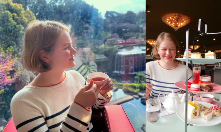 东京的春天来了!新大谷酒店的日式庭园和餐厅都染上了春天的色彩