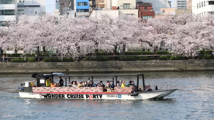 10 Tours to Take to See Sakura Around Osaka This Spring