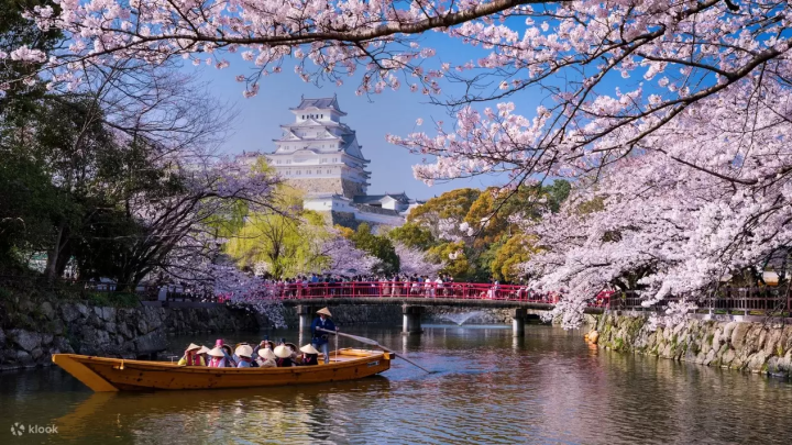10 Tours to Take to See Sakura Around Osaka This Spring