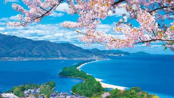 10 Tours to Take to See Sakura Around Osaka This Spring