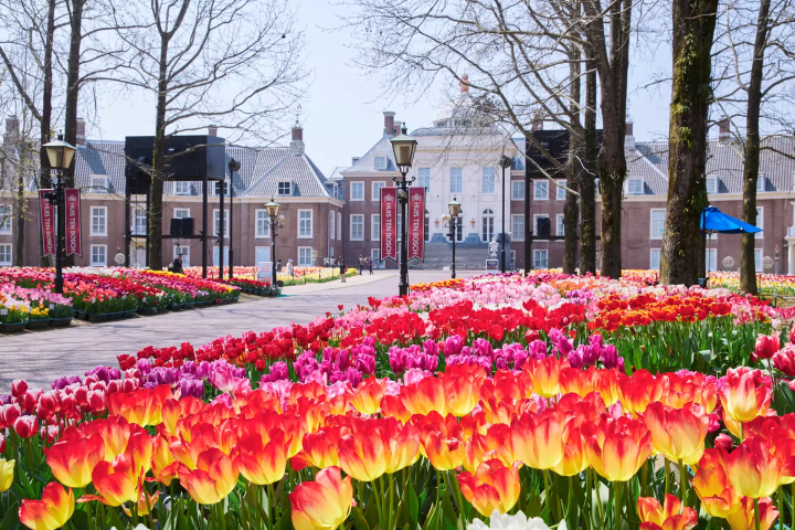 【2024長崎佐世保】九州必去主題樂園豪斯登堡交通、設施景點、住宿完全指南