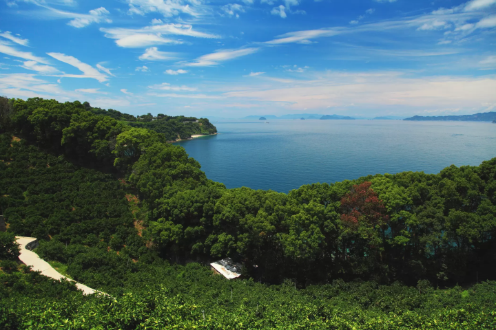 现在的濑户内海景色。额田王也看过如此蔚蓝的大海吗？ （摘自松山市官方观光网站） 