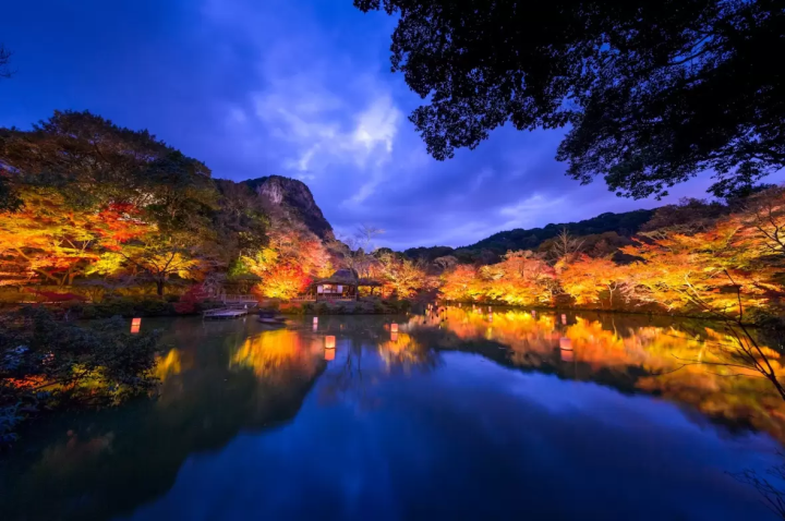 【佐賀】探索歷史與大自然的魅力！景點及租車指南