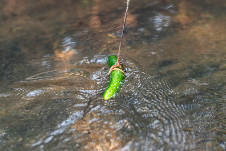岩手/远野 - 穿越“远野物语”世界的旅程，一场超越时空的民间传说和幻想之旅
