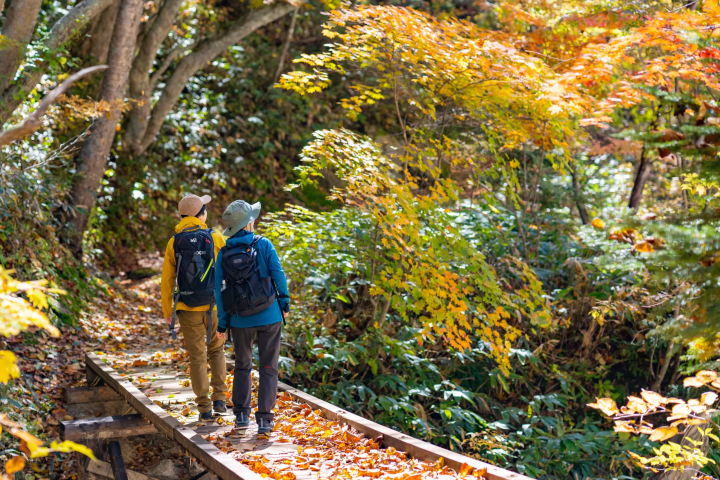 四季折々の雄大な景色が楽しめる秘境「高瀬渓谷」を満喫！