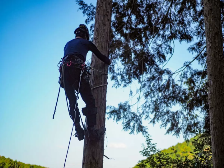 遊學教室是丹波篠山的里山學園，有英文導遊。