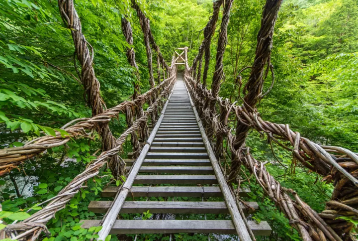 [Tokushima] Harmony of art and nature: hidden tourist spots and rental car guide