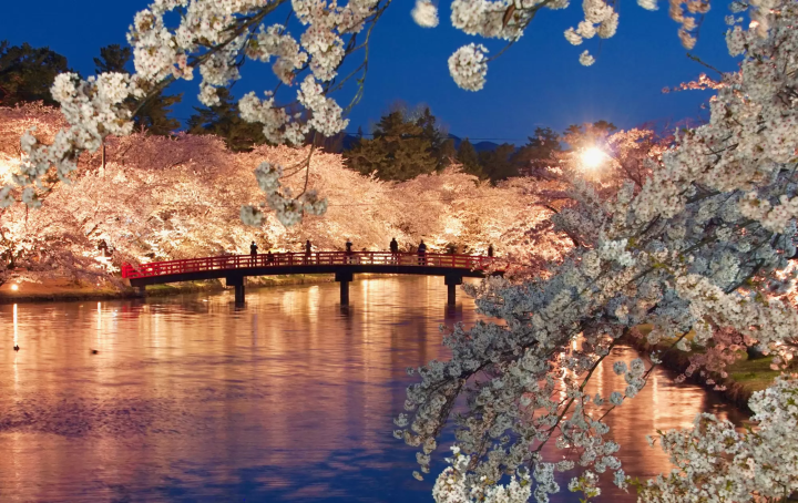 【日本の春】3月〜5月の桜の開花情報、気候、適した服装