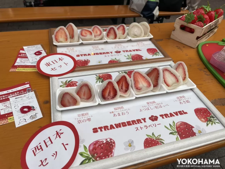 스트라베리/전국의 딸기 8종류의 딸기 오후쿠 