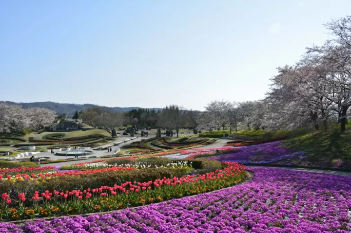 【미야기】마츠시마의 아름다운 자연 경관을 둘러싼 추천 관광 명소와 렌터카 여행