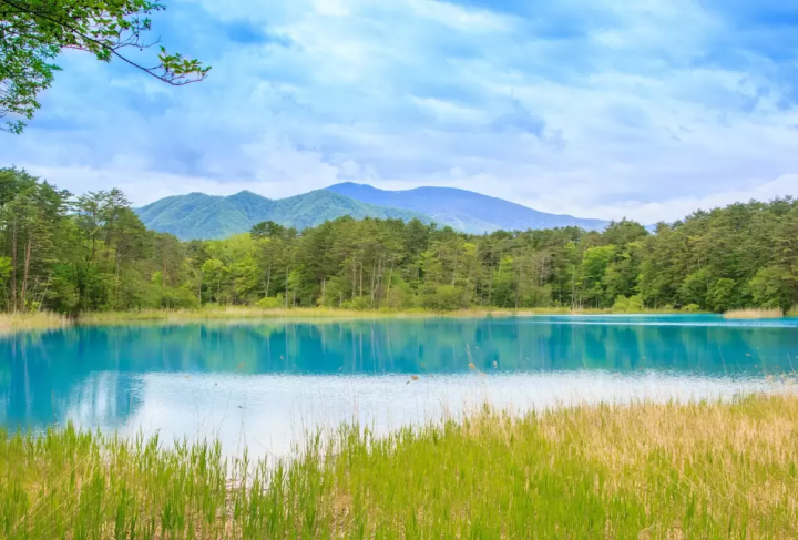 【후쿠시마】여행 플랜에 도입하고 싶다! 매력 넘치는 명소와 렌터카 가이드