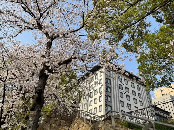 桜鑑賞にオススメ！大阪のホテル10選