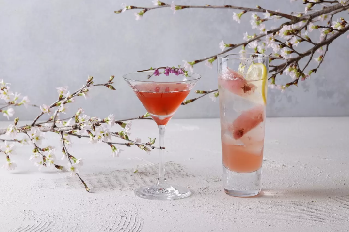 Tokyo Cherry Blossoms, Art, and Seasonal Food: Two-Day Spring Itinerary