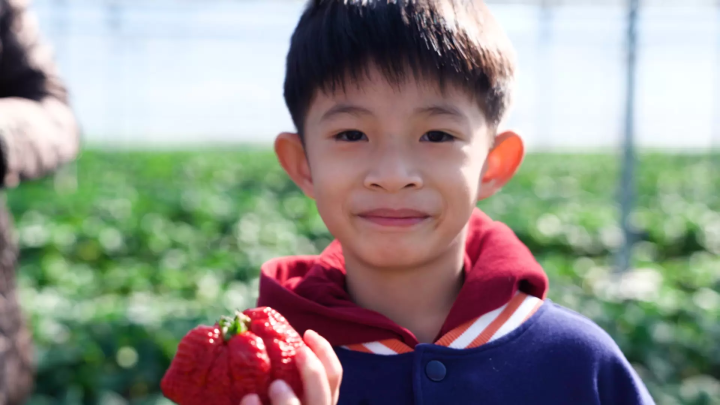 Experience Tateyama in early spring! Tateyama taxi trip experience for a Taiwanese family by JOY Taku