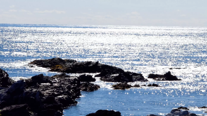 Experience Tateyama in early spring! Tateyama taxi trip experience for a Taiwanese family by JOY Taku