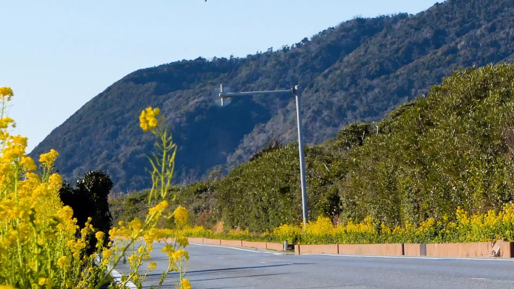 Experience Tateyama in early spring! Tateyama taxi trip experience for a Taiwanese family by JOY Taku