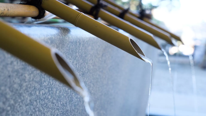 Experience Tateyama in early spring! Tateyama taxi trip experience for a Taiwanese family by JOY Taku