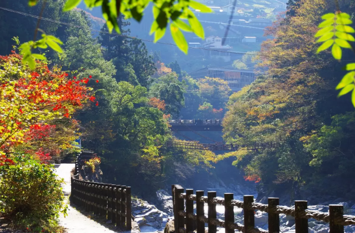 [Tokushima] Harmony of art and nature: hidden tourist spots and rental car guide