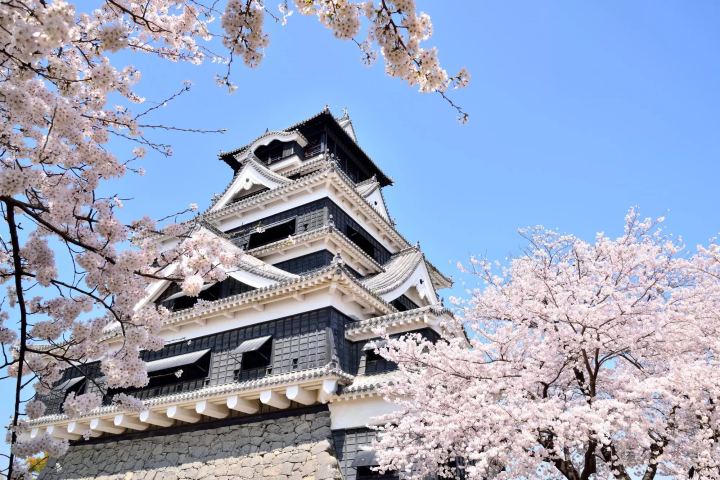 Stunning Springtime Tours Only a Few Hours From Fukuoka