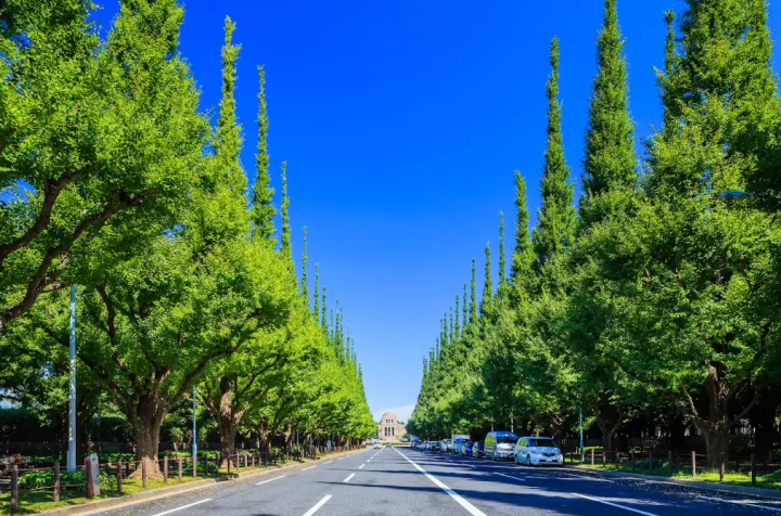 【東京】傳統與現代融合的魅力！日本的中央旅遊勝地