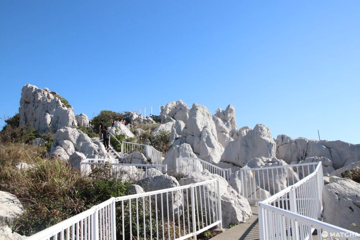 和歌山日高太平洋絕境美食之旅