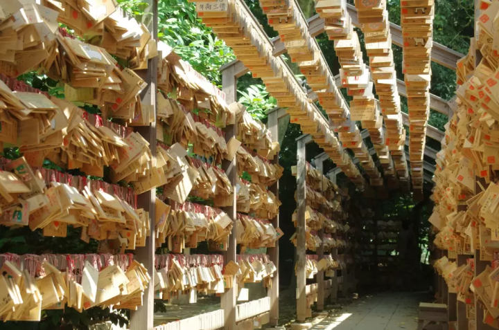 【사이타마】역사의 거리·가와고에와 자연의 낙원·지치부:렌터카로 둘러싼 관광 명소