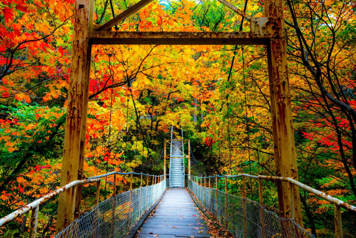 【2024最新】前往東北著名溫泉之鄉「花卷」,造訪知名景點、著名人物