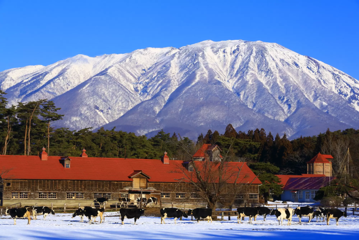 【2024最新】前往東北著名溫泉之鄉「花卷」,造訪知名景點、著名人物