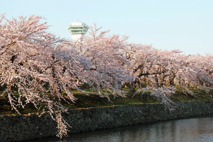 【北海道】充分享受夜景和自然魅力：推薦旅遊景點和租車指南