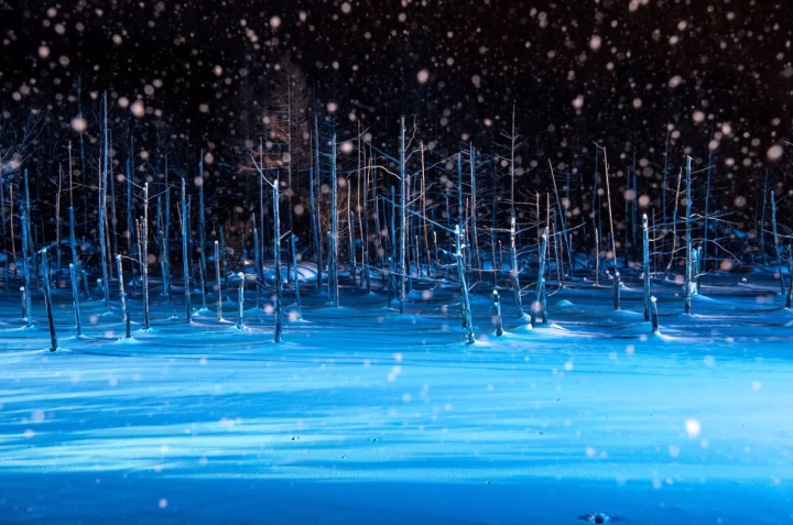 【北海道】充分享受夜景和自然魅力：推薦旅遊景點和租車指南