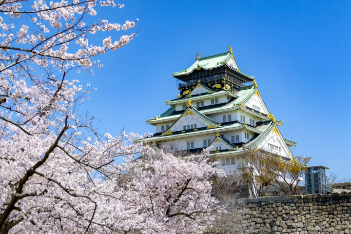 12 Great Kansai Cherry Blossom Spots: Kyoto, Osaka, Nara, and More