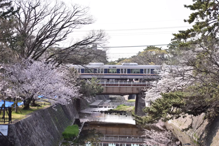 ▲ Near Sakura Shukugawa Station on the JR Kobe Line 