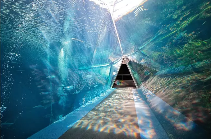 【후쿠시마】여행 플랜에 도입하고 싶다! 매력 넘치는 명소와 렌터카 가이드