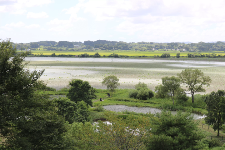 Holiday trip for adults ~ Overlooking Izunuma ~