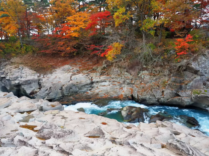 【이와테】추존지에서 호비계까지：렌터카로 둘러싼 추천 관광 명소