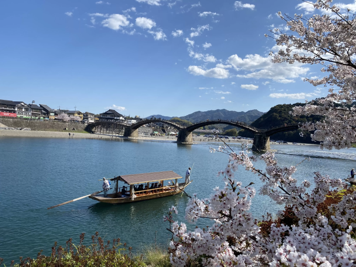 【山口県岩国市】約400年続く夏の風物詩!錦帯橋の「鵜飼」を見に行こう