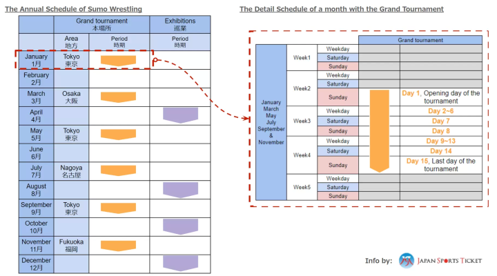 2024 年相扑完整指南：比赛日程、如何享受比赛、等等