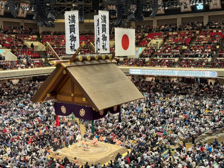 2024 年相扑完整指南：比赛日程、如何享受比赛、等等