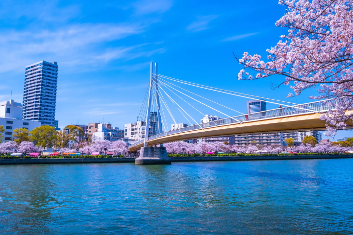 【2024最新】日本最長商店街！大阪天神橋筋商店街周邊逛到腿軟攻略