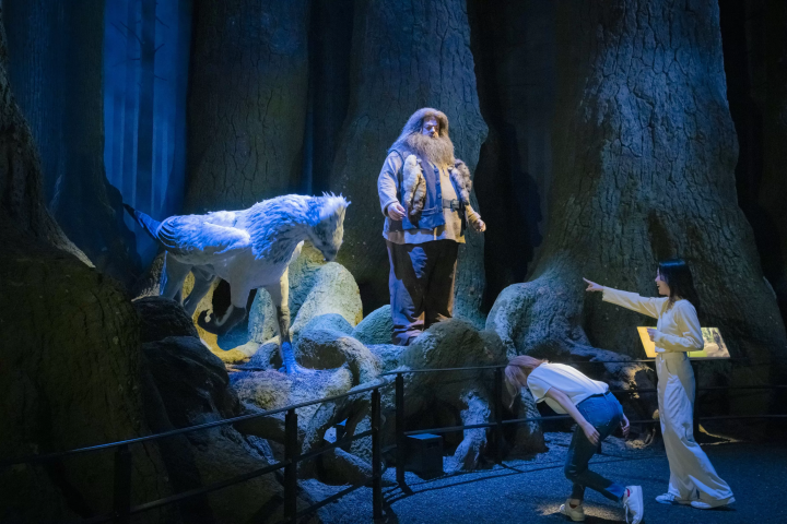 【2024】全球最大「東京哈利波特影城」門票交通、場景、美食、周邊商品一次看