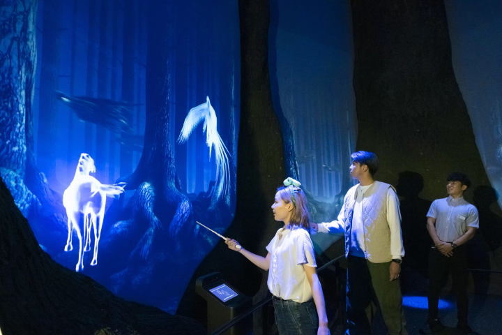 【2024】全球最大「東京哈利波特影城」門票交通、場景、美食、周邊商品一次看