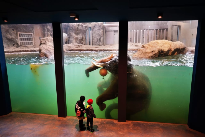 ทุกเรื่องต้องรู้ก่อนเที่ยวซัปโปโร! 13 แหล่งเที่ยว อากาศ เสื้อผ้า การเดินทาง (Sapporo, Hokkaido)