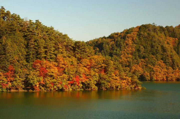 【東京】傳統與現代融合的魅力！日本的中央旅遊勝地