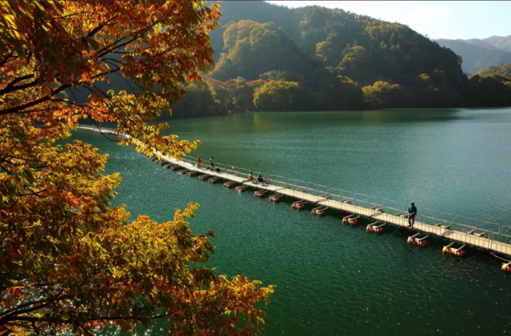 【東京】傳統與現代融合的魅力！日本的中央旅遊勝地