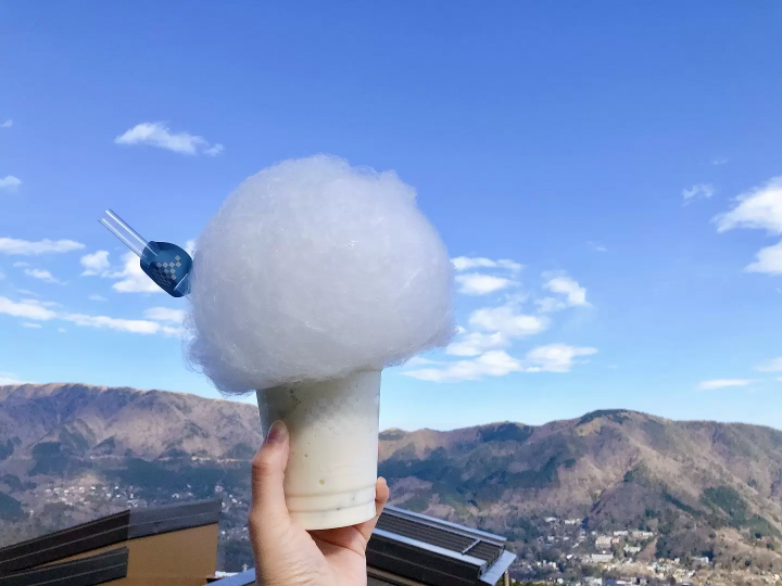 แนะนำเส้นทางเที่ยวรอบฮาโกเน่ด้วยตั๋ว Hakone Freepass